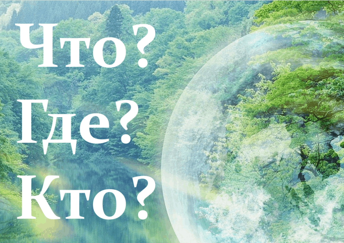 Экологическая игра «Что? Где? Кто?» 2024, Каргасокский район — дата и место  проведения, программа мероприятия.