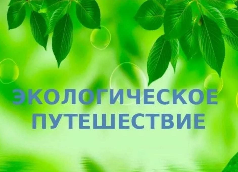 Экологическая кругосветка презентация