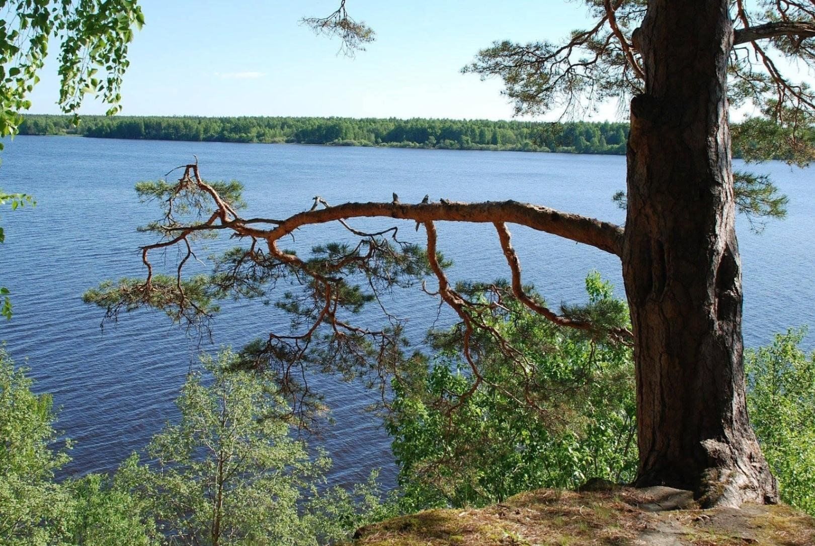 красивые места на реке волга