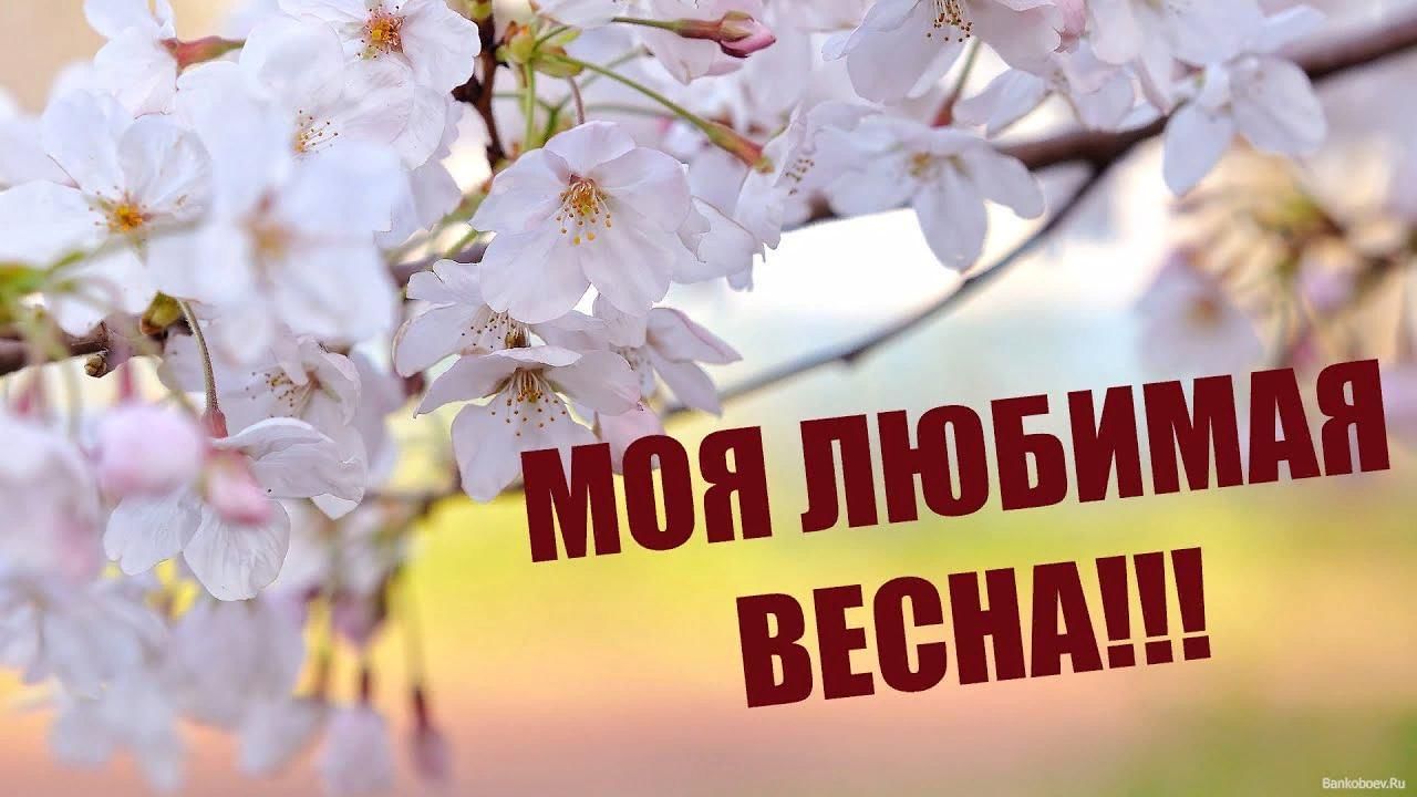 Весенняя картинка для любимой