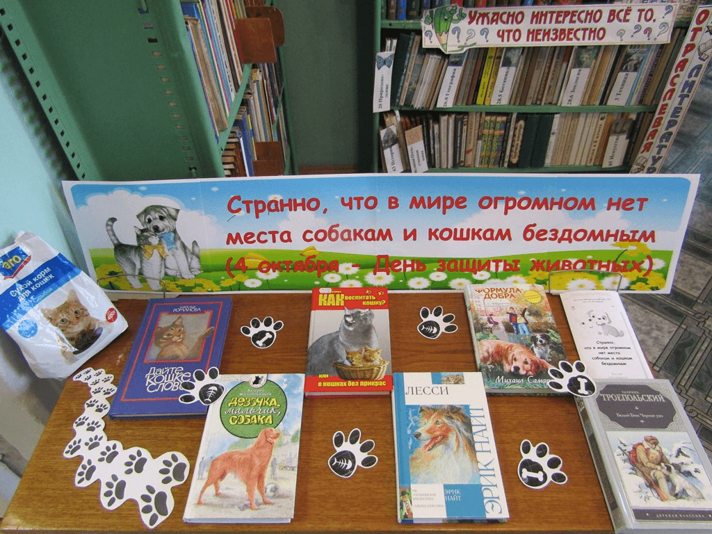 День животных мероприятие. Мероприятие библиотеки к Дню животных. Акция ко Дню защиты животных. Мероприятия ко Дню защиты животных. Международный день животных в библиотеке.