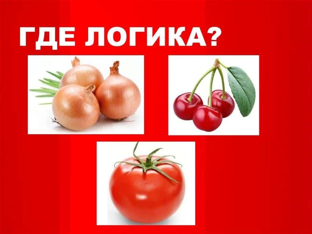 Где логика для детей презентация