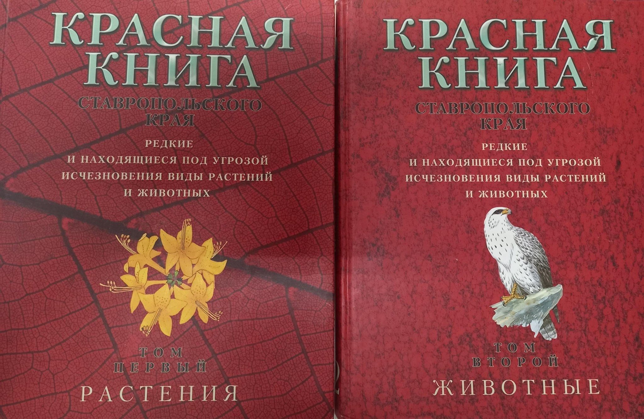 Животные и растения красной книги москвы и московской области