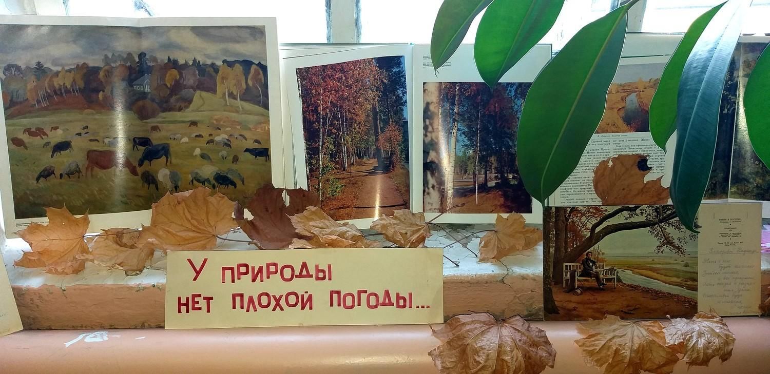 выставка фотографий лес чудесный храм науки