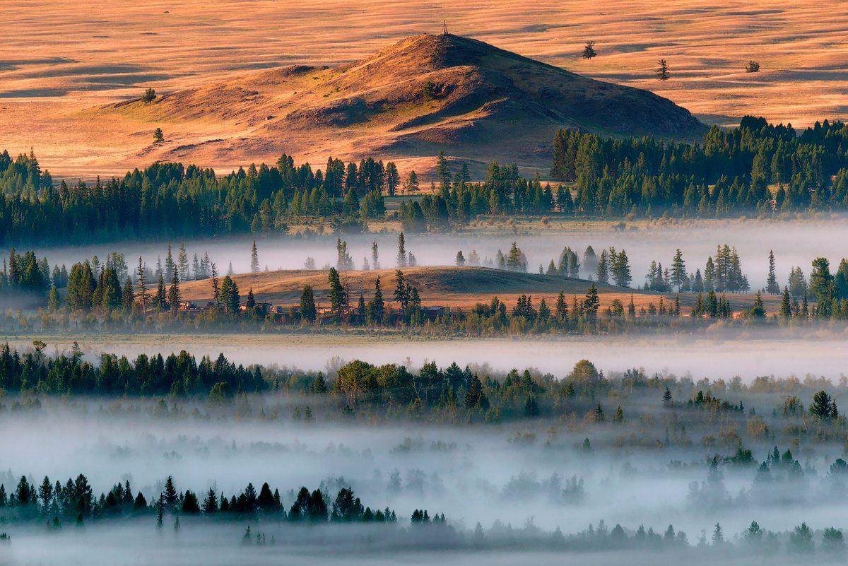 Кош Агач Курайская степь