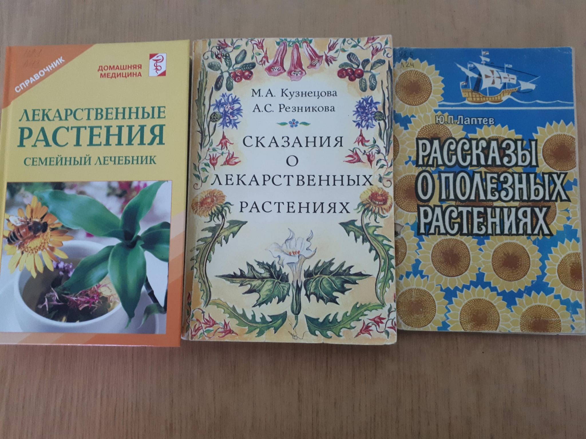 Познавательный час «Целительная сила растений» 2022, Брянск — дата и место  проведения, программа мероприятия.