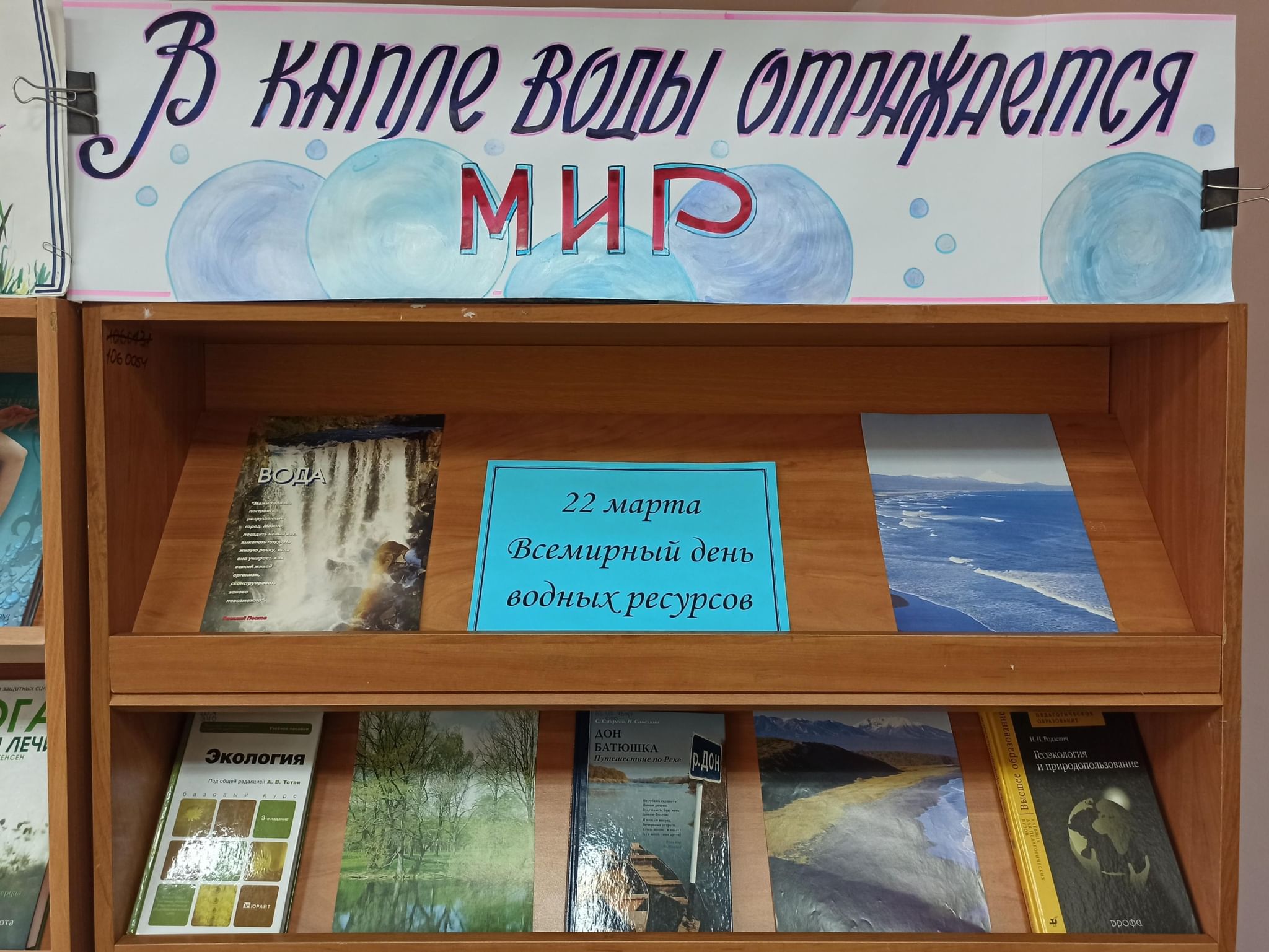 Час воды мероприятия. Книжная выставка о воде. Книжная выставка ко Дню воды. Выставка ко Дню воды. Выставка к Дню воды в библиотеке.