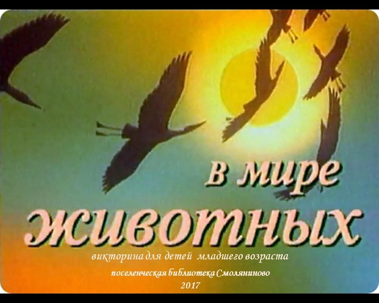 Программа в мире животных. В мире животных 1968. В мире животных телепередача 1968. Дроздов в мире животных 1968. В мире животных заставка.