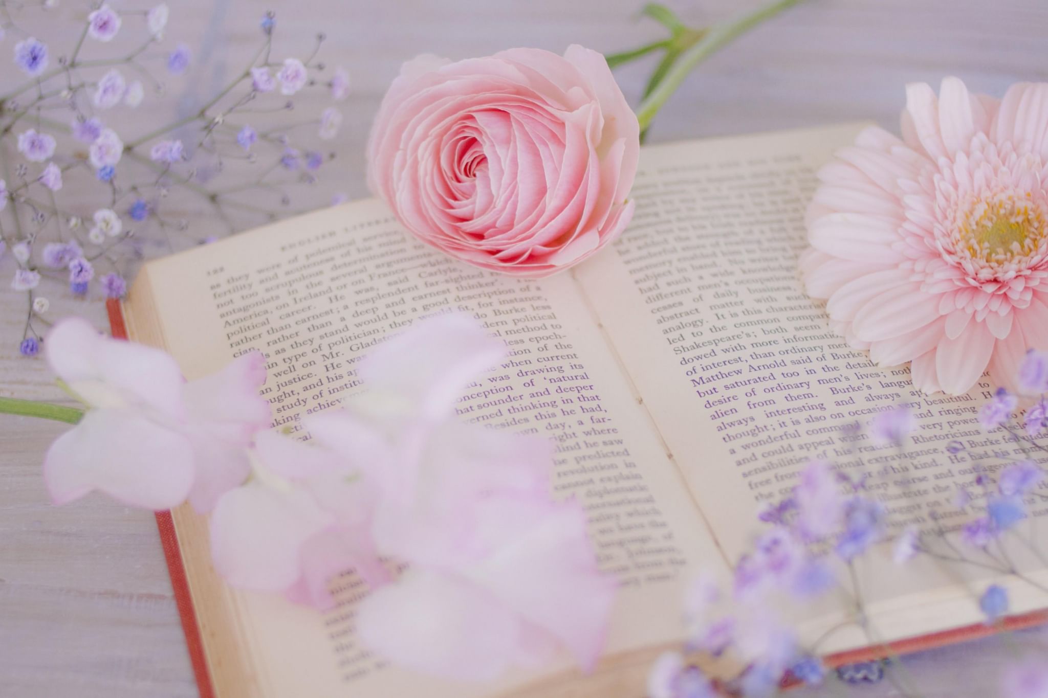 Картинки книги красивые для оформления