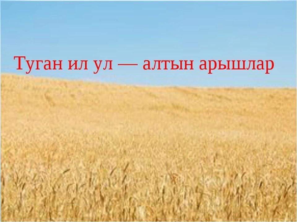 Туган якка юл тотамын. Туган ил. Туган ил ул Алтын. Татарстан туган ил. Башкортостан туган жирем.