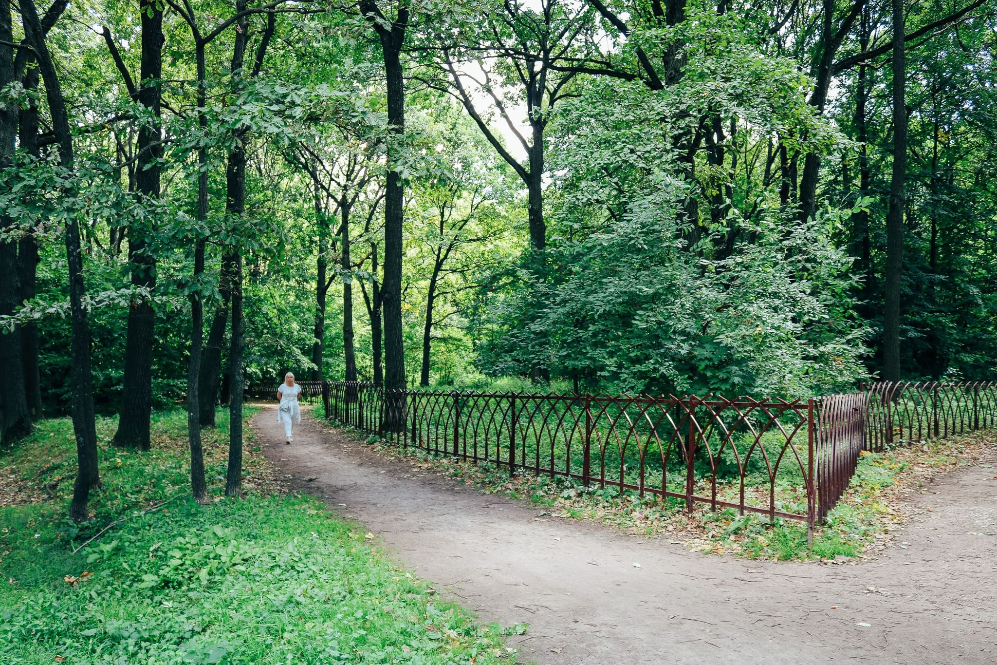 Сад ко воронцовский парк 5 фото