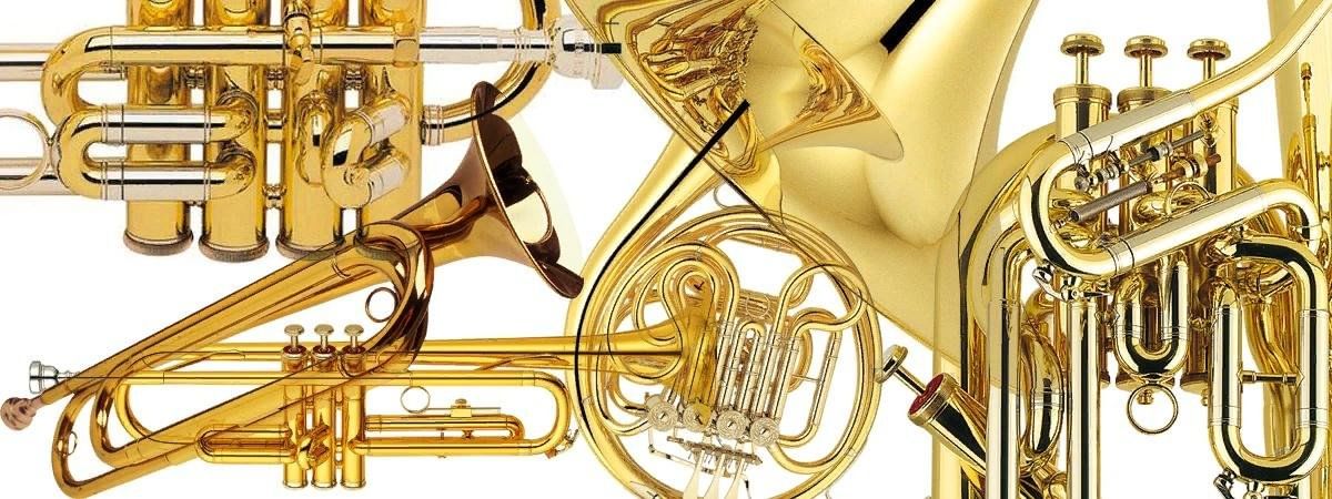 саксофон джаз. медные духовые инструменты туба. тромбон медный духовой музыкальный инструмент. мастер духовых инструментов. группа духовой квинтет.