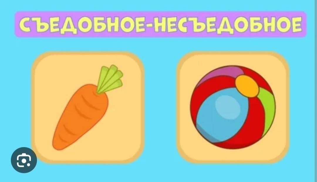 Играть в несъедобное. Съедобное несъедобное картинки для детей. Съедобное несъедобное надпись. Цель игры съедобное несъедобное. Съедобное не съедобное несъедобное игра цель.