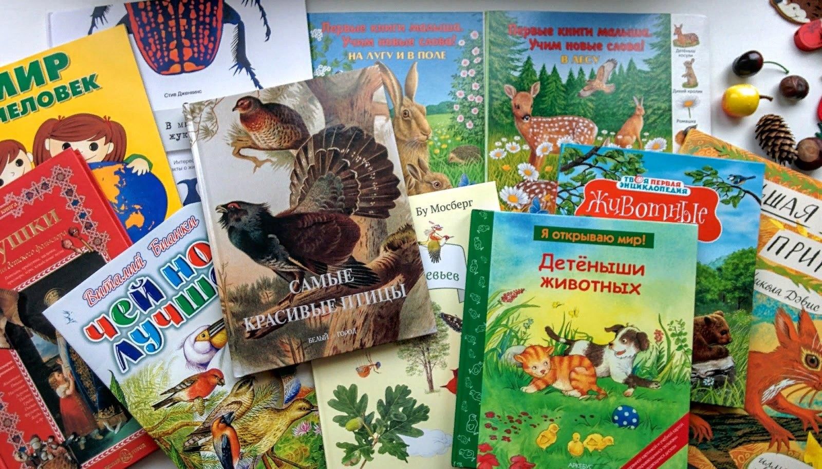 Книги о природе и животных