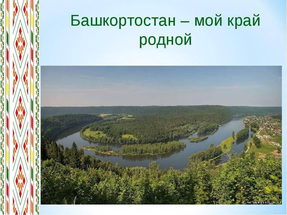 Проект мой край родной 8 класс