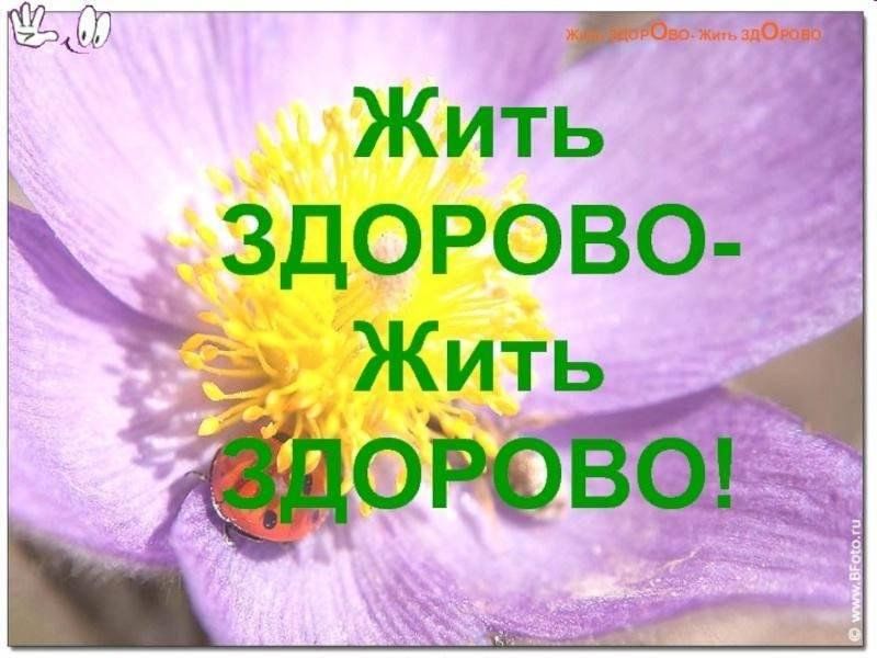 Здорово жить здорово картинки
