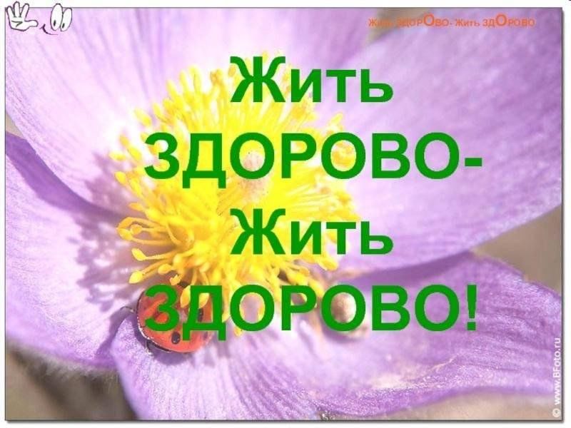 Жив здоров. Как здорово жить. Жить здорово картинки. Презентация на тему жить здорово. Живите здорово живите.