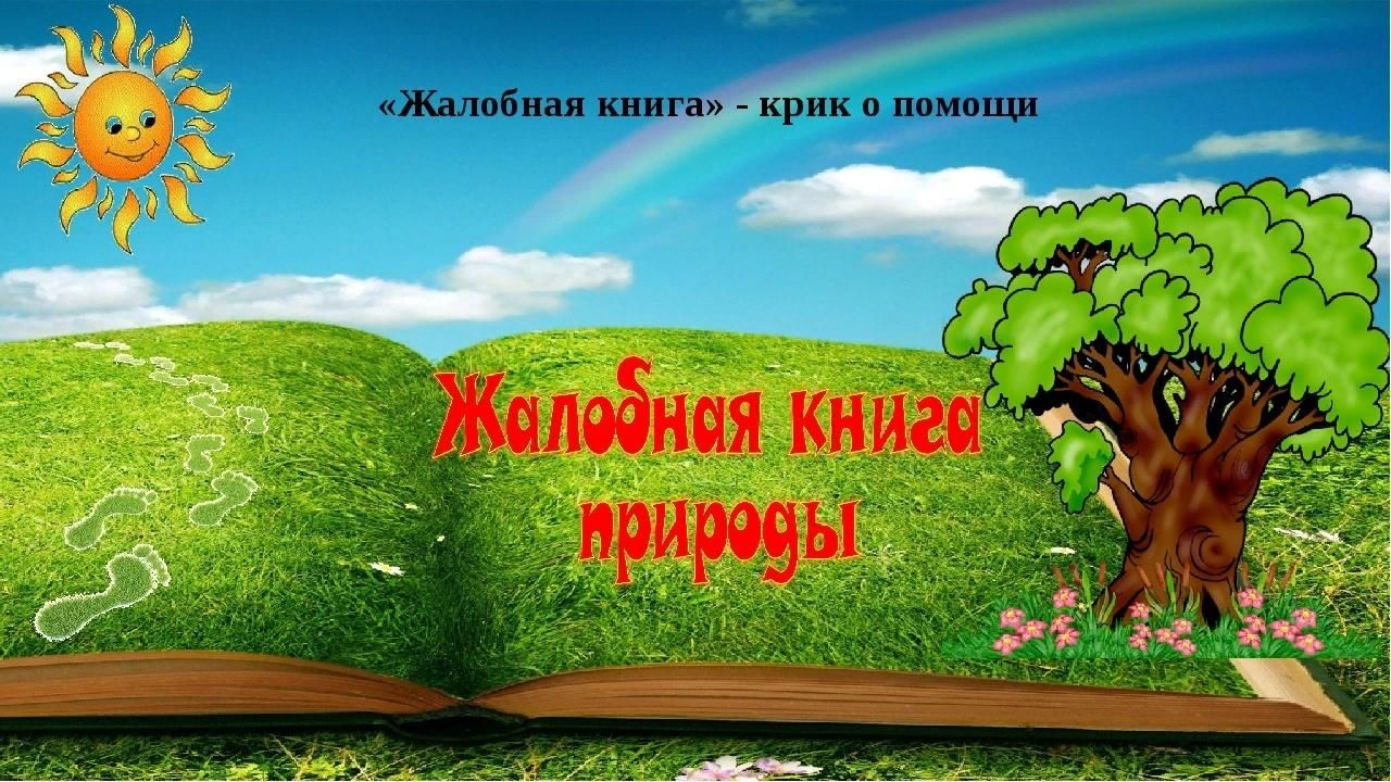 Жалобная книга рисунок