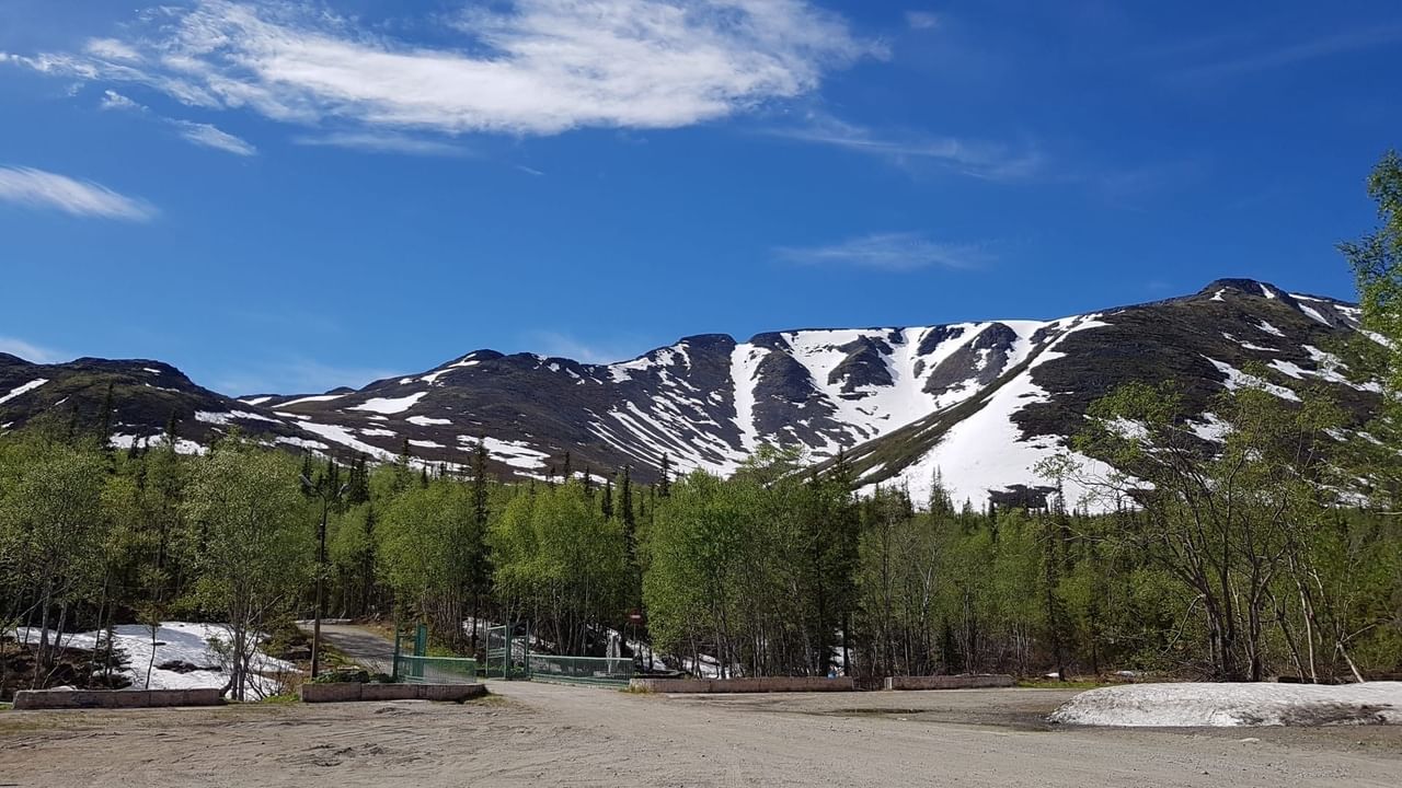 Полярно альпийский ботанический сад фото Виртуальная выставка "Полярно-Альпийский ботанический сад-институт им. Н.А. Авро