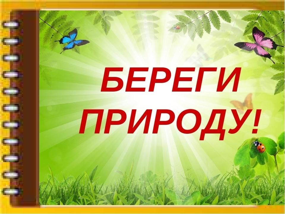 Береги природу картинки с надписями