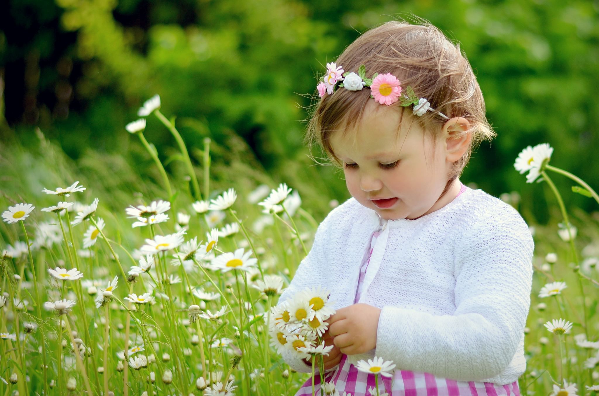 Life is a flower. Ромашка для детей. Девочка в ромашках. Дети в цветах. Красивые цветы для детей.