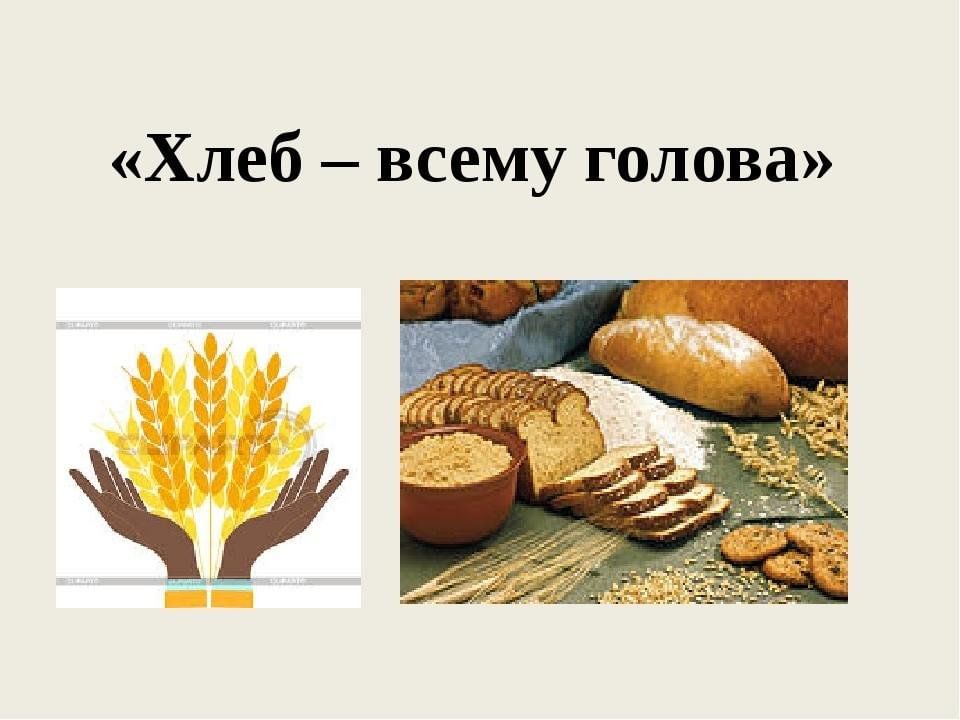 Хлеб всему голова. Занятие Хлебушек всему голова. Хлеб всему голова текст. Макеты на тему хлеб всему голова.