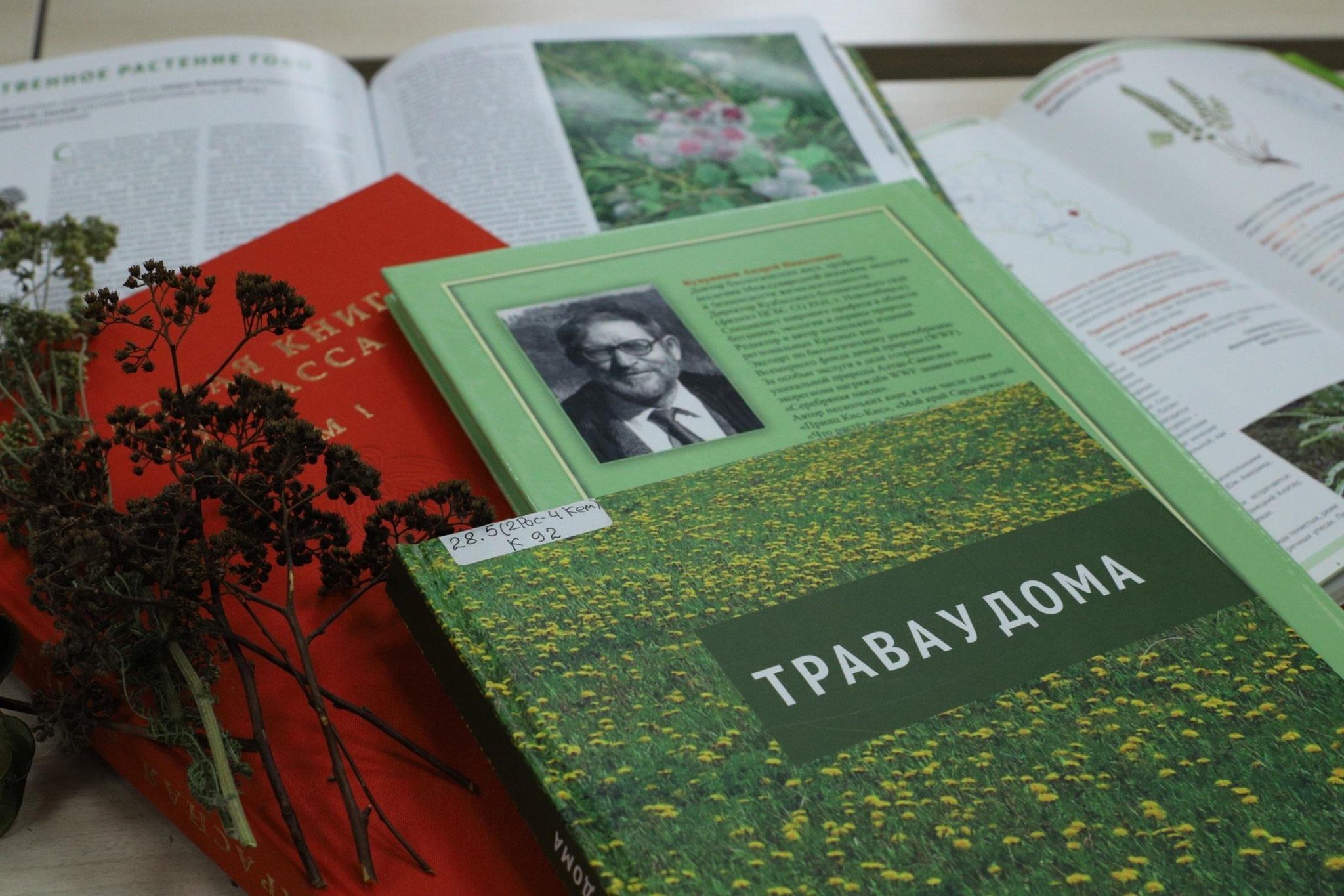 Презентация книги «Трава у дома» 2024, Кемерово — дата и место проведения,  программа мероприятия.