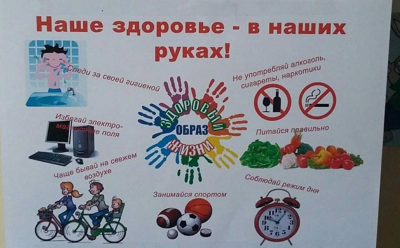 Проект на тему пропаганда здорового образа жизни