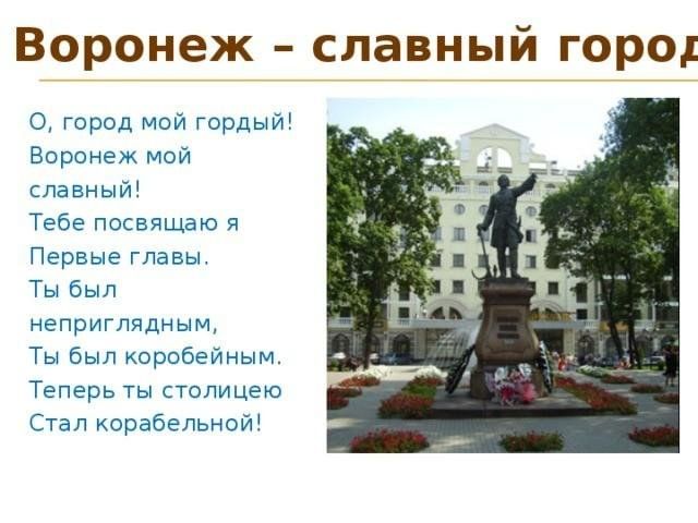 Воронеж родной город проект