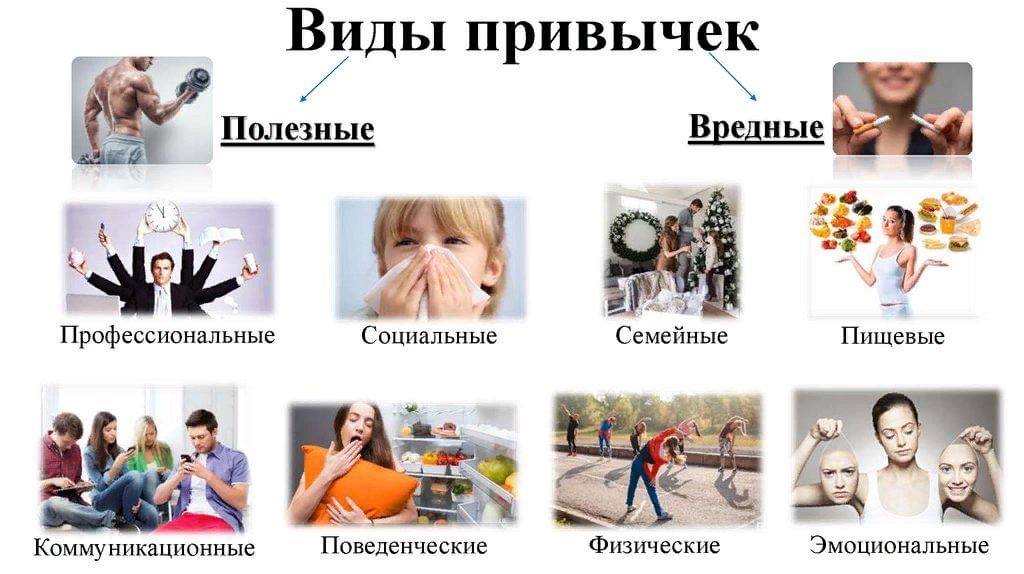Что такое привычки и их примеры Информационно-просветительская программа "Подросток в мире вредных привычек" 202