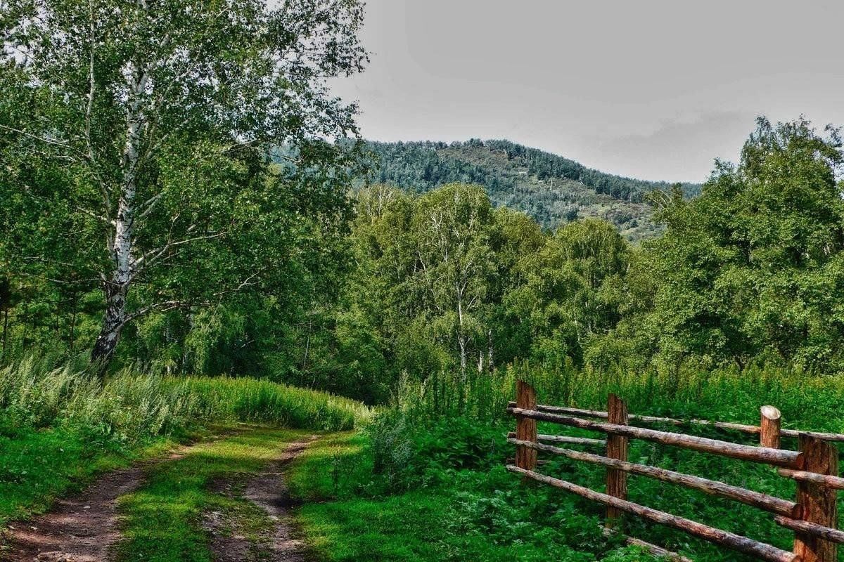 Тропы родного края. Заповедные тропинки. Парк Заповедный луг. Сельские леса. Путешествие по лесным тропинкам.