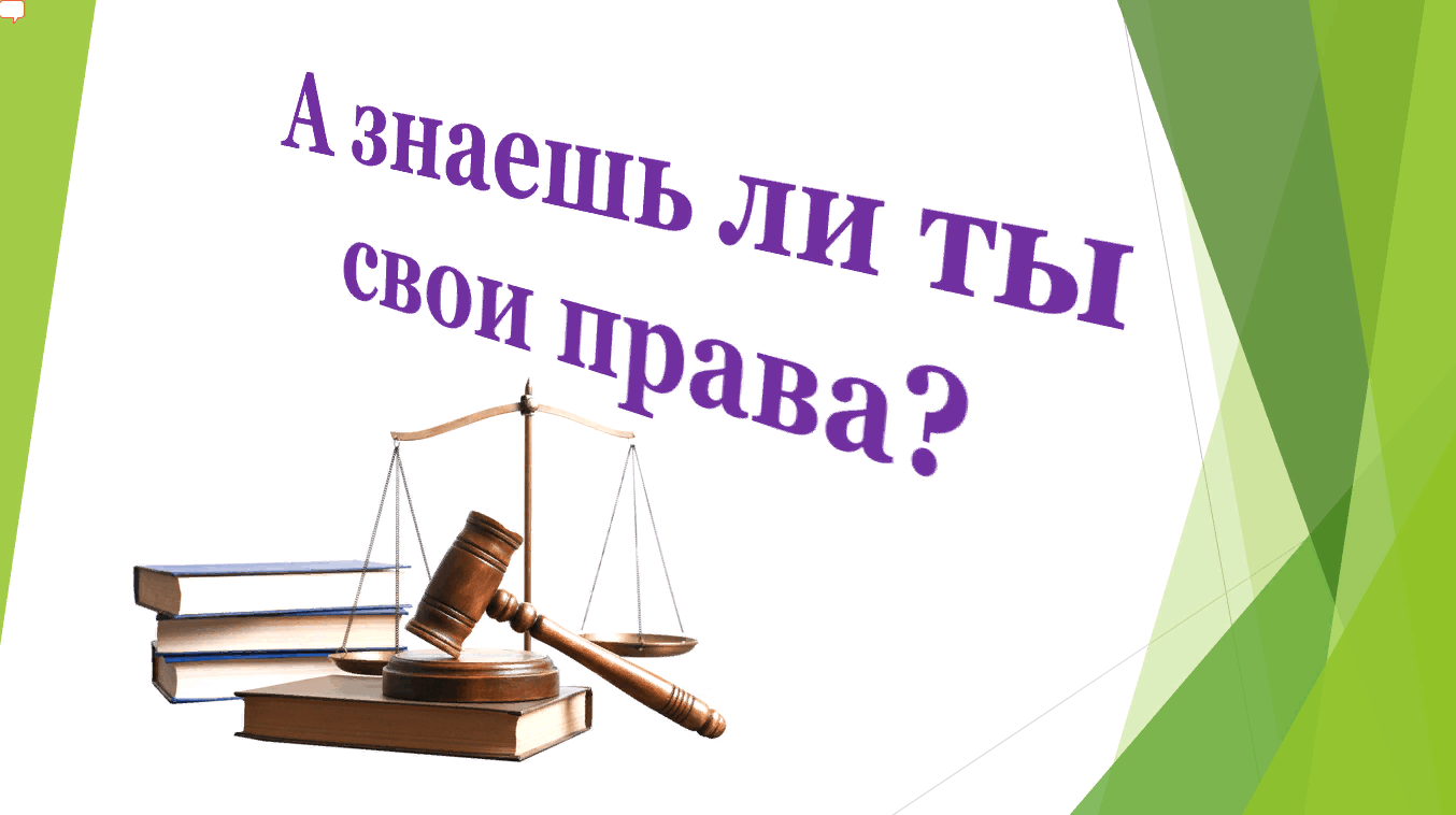 Проект по праву 1 курс
