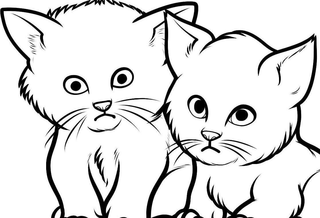 Котик рисунок карандашом для детей