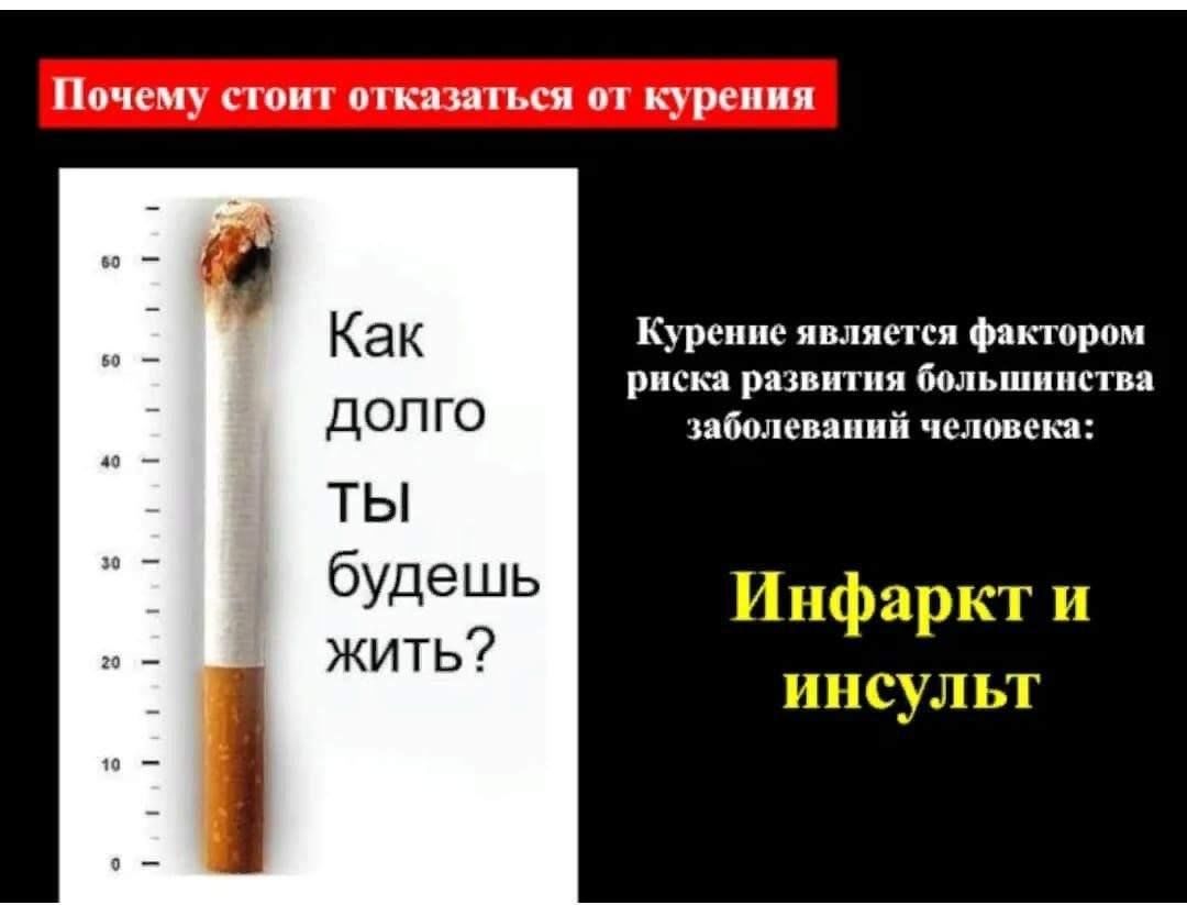 Сколько раз можно курить