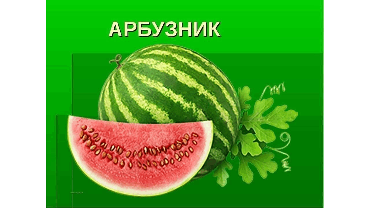 Арбузники кто такие