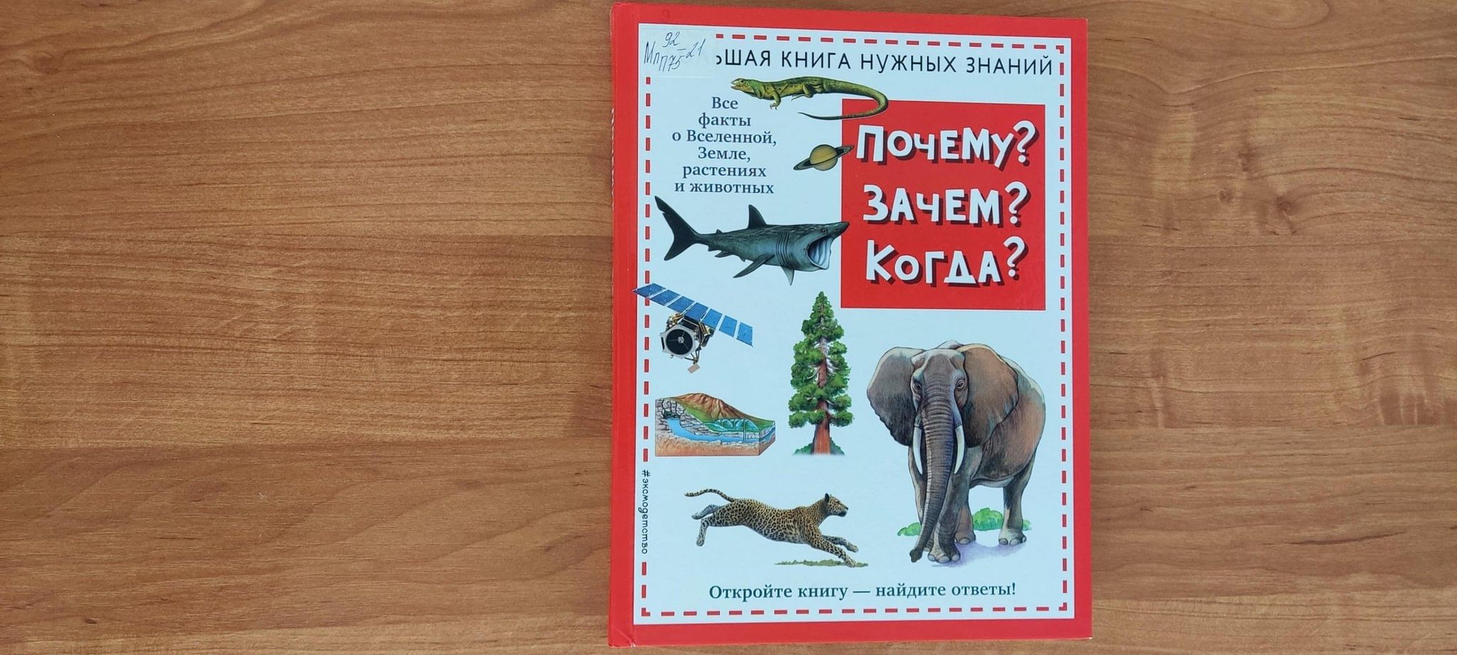 День веселых затей «Отдыхай, играй, читай!» 2024, Старооскольский район —  дата и место проведения, программа мероприятия.