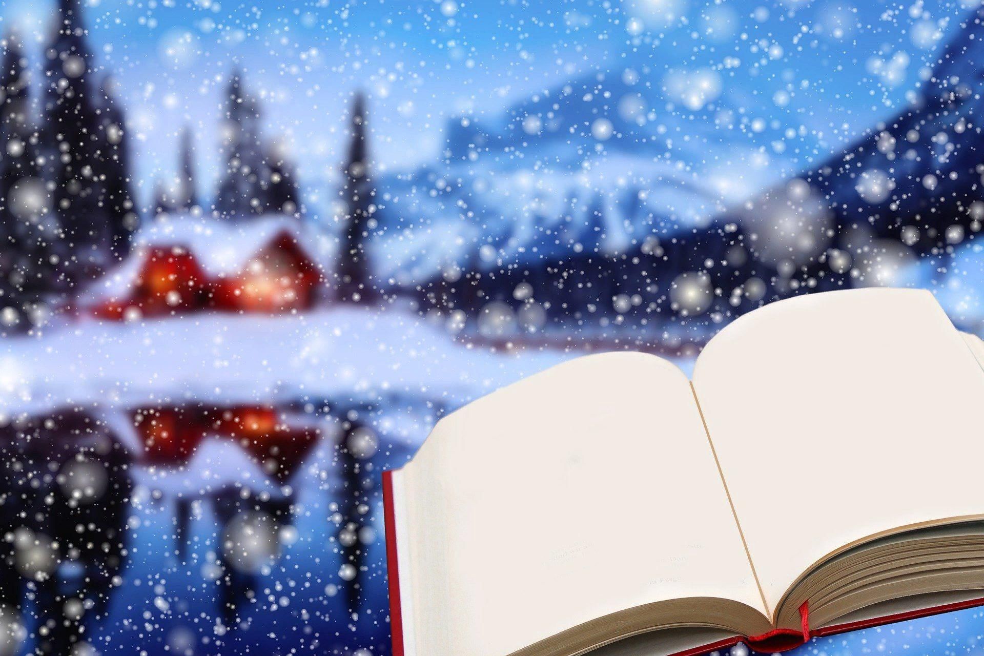 Зимние книги картинки