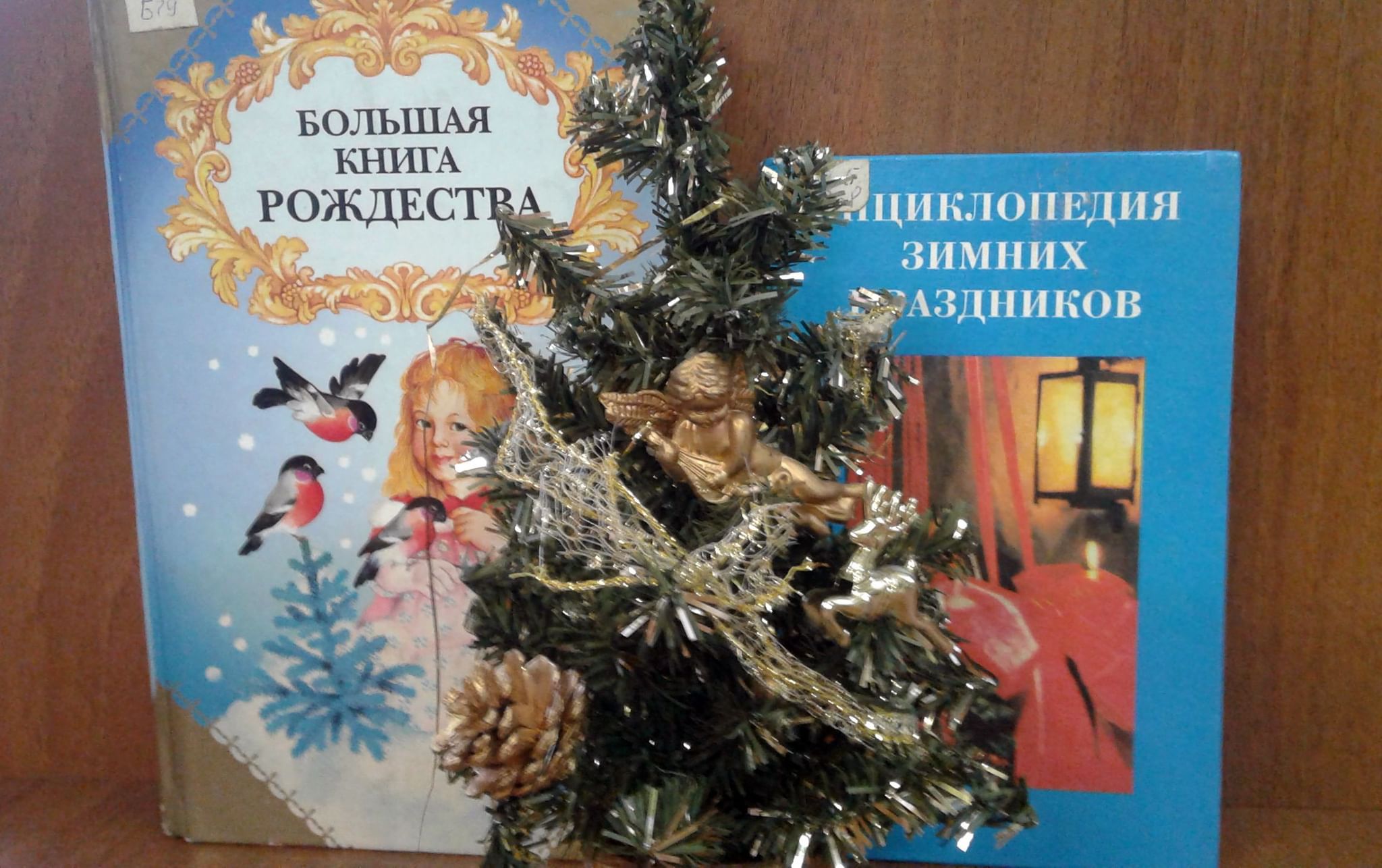 Рождество книга читать. Большая книга Рождества. Книга большая книга Рождества. Зимних сказок чудеса выставка. Зимних сказок чудеса книжная выставка в библиотеке.