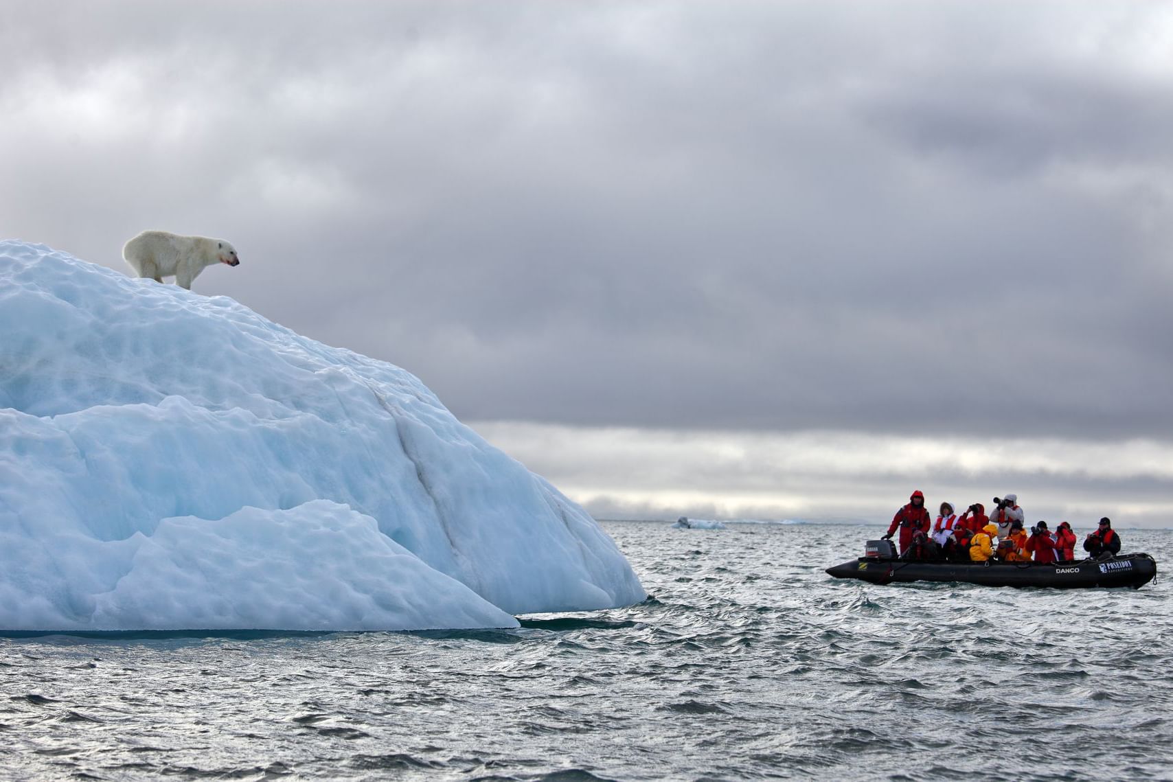 Russian arctic. Национальный парк русская Арктика. Национальный парк русская Арктика новая земля. Парк русская Арктика Архангельск. Национальный парк «русская Арктика» тундра.