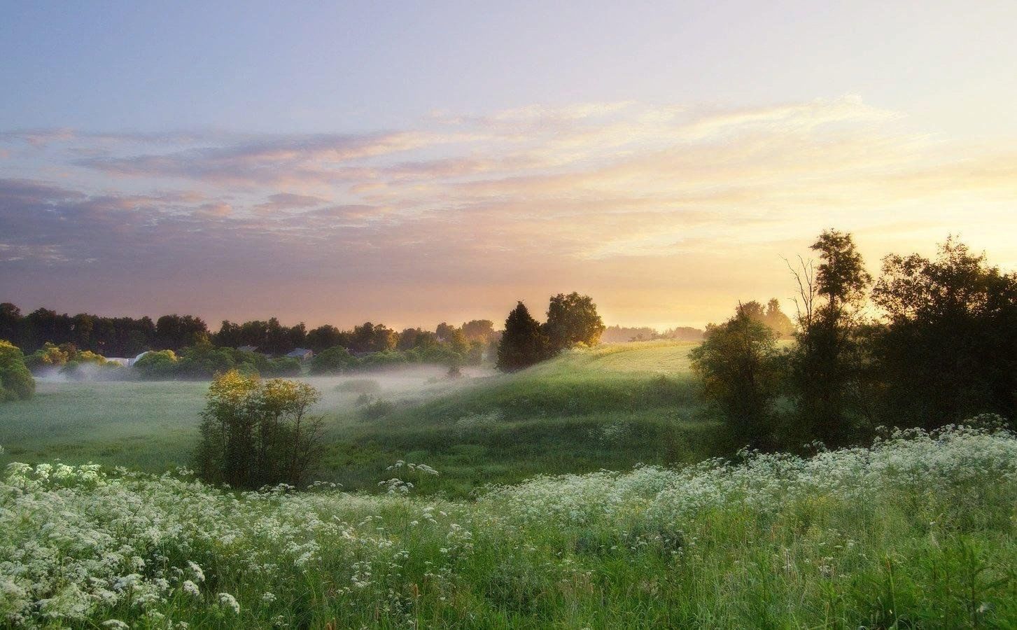 Жаркий полдень. Июльский пейзаж. Утренний пейзаж. Июньский пейзаж. Утренний туман.