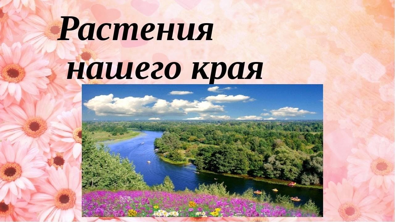 Проект мой край 4 класс окружающий мир