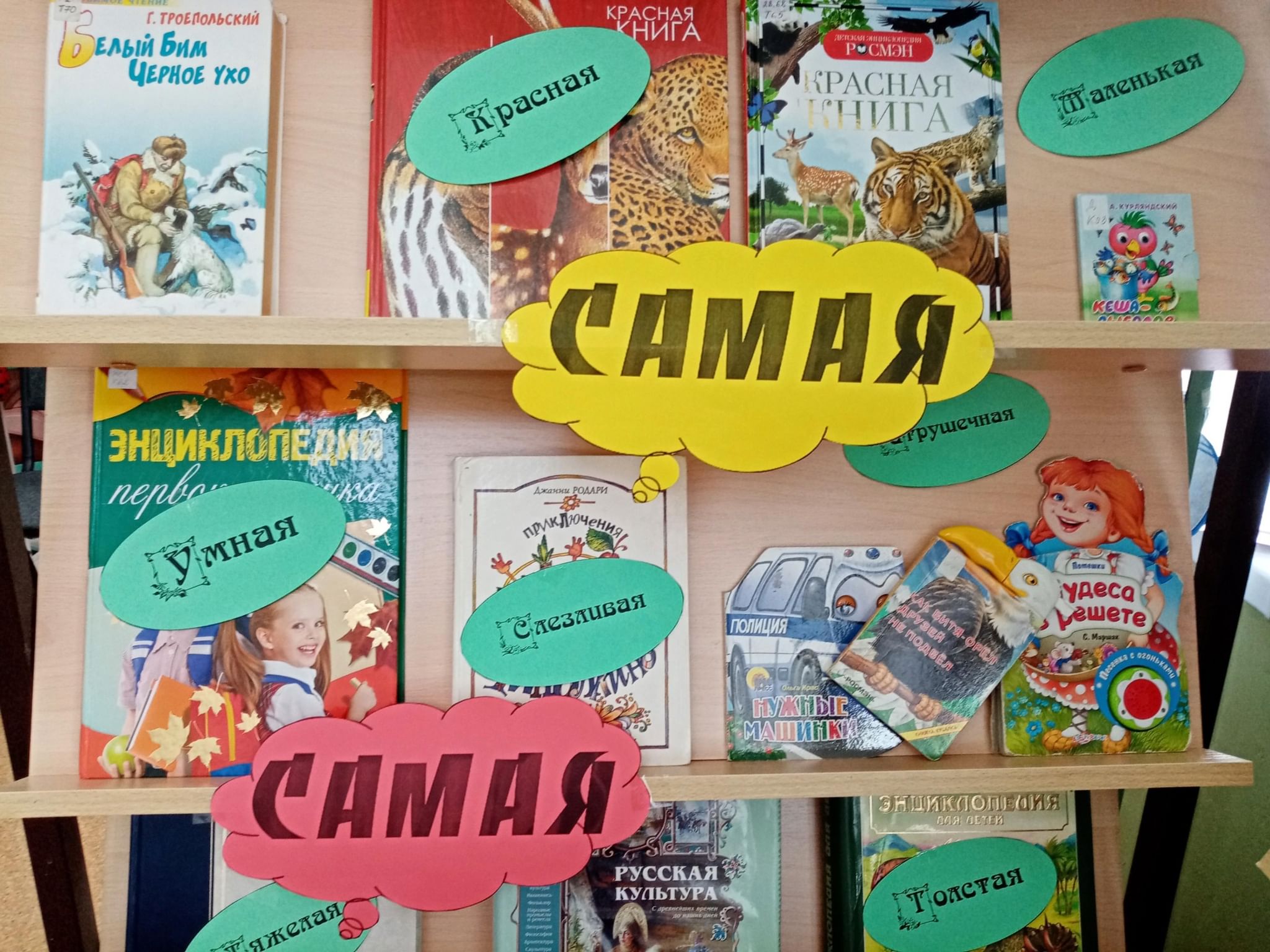 Выставка самый самый. Книжные выставки самая. Выставка самая самая книга. Название книжный выставок самая самая. Книжная выставка самая самая книга.