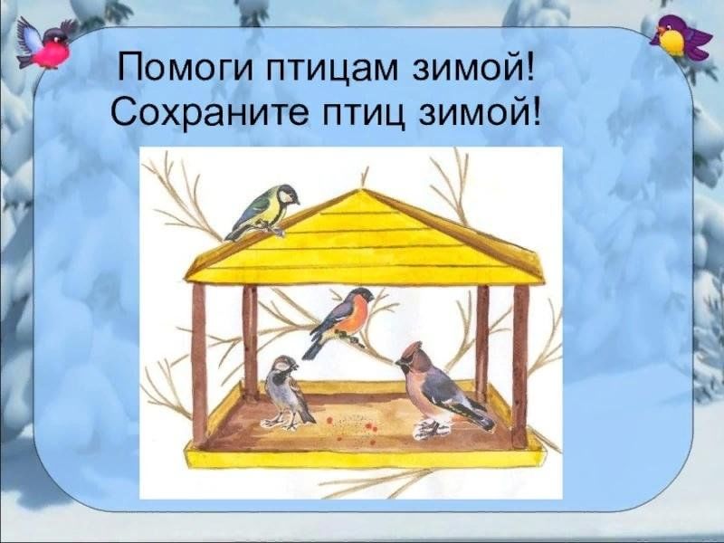 Спасите птиц зимой проект 2 класс