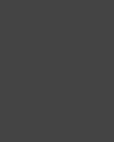 Владимир Маяковский со Скотиком. 1924 год. Фотография: Александр Родченко / Мультимедиа Арт Музей, Москва