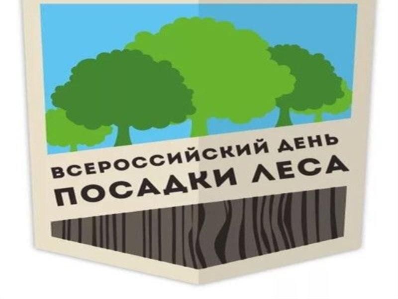 День посадки леса презентация