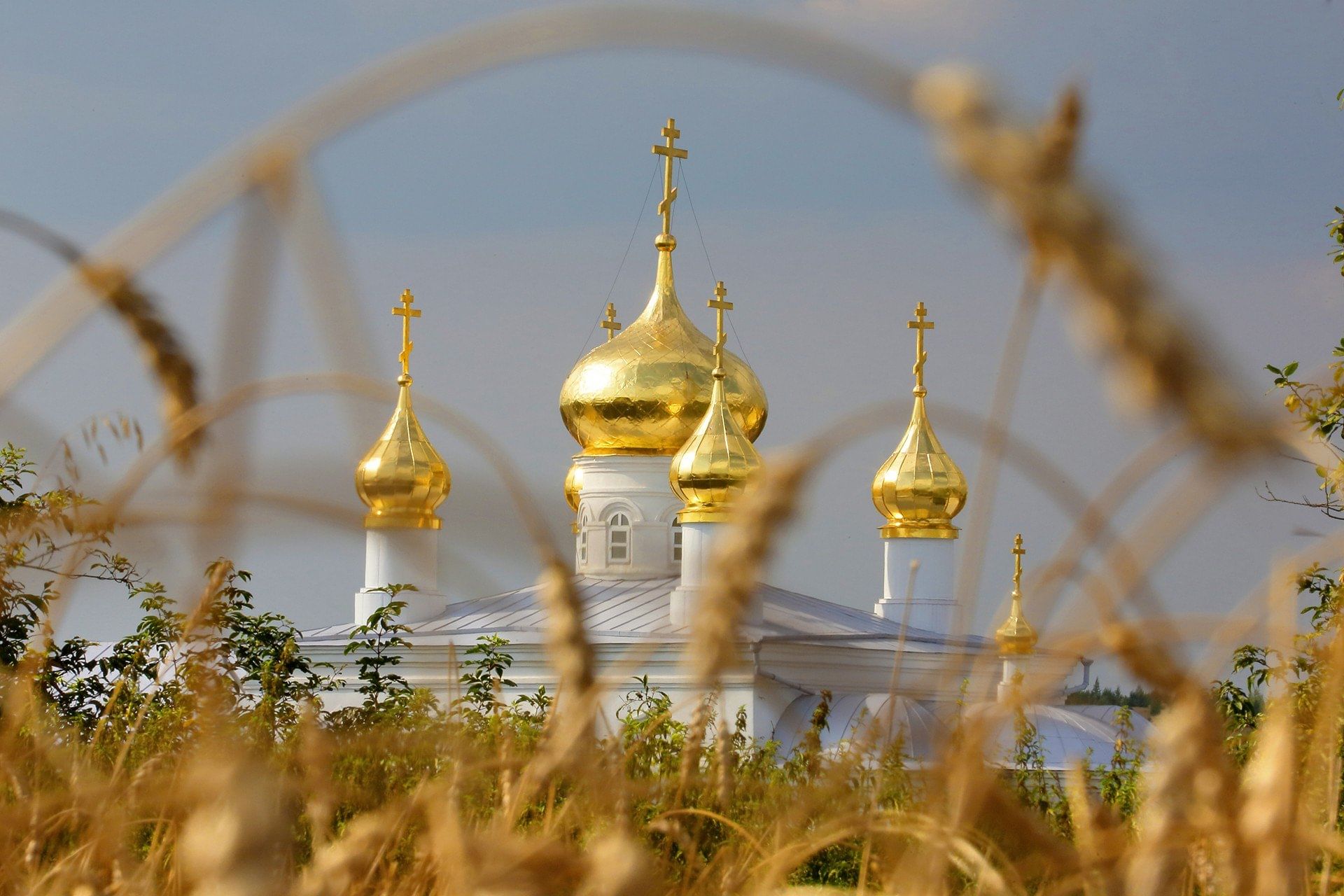 Церковные картинки. Купола церкви и природа. Православная Духовность. Храм Божий. Купола Русь.