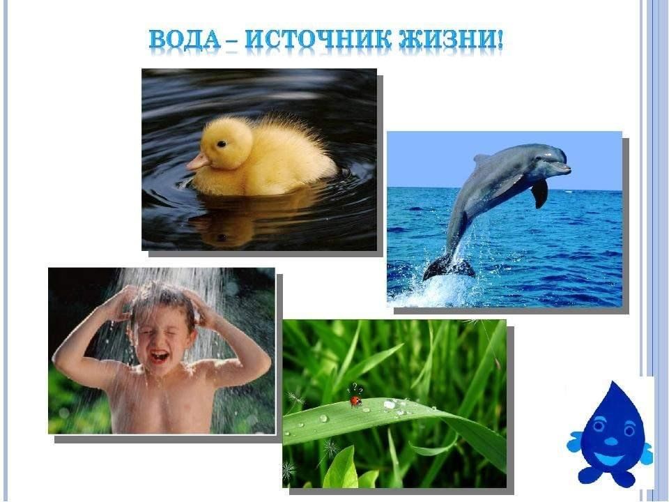 Вода источник жизни проект наука и образование Экологический урок. Вода-источник жизни. 2024, Мензелинский район - дата и место