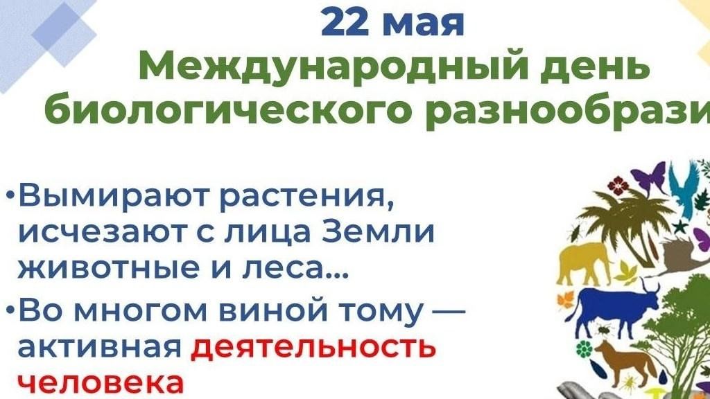 22 мая день биологического разнообразия картинки
