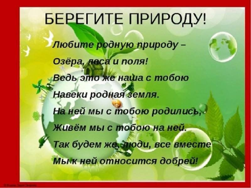 Что можно написать в проекте берегите природу