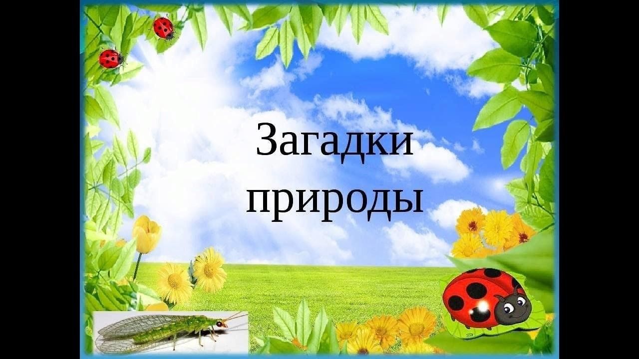 Экологическая игра–путешествие «Познай загадки природы» 2024, Аскинский  район — дата и место проведения, программа мероприятия.